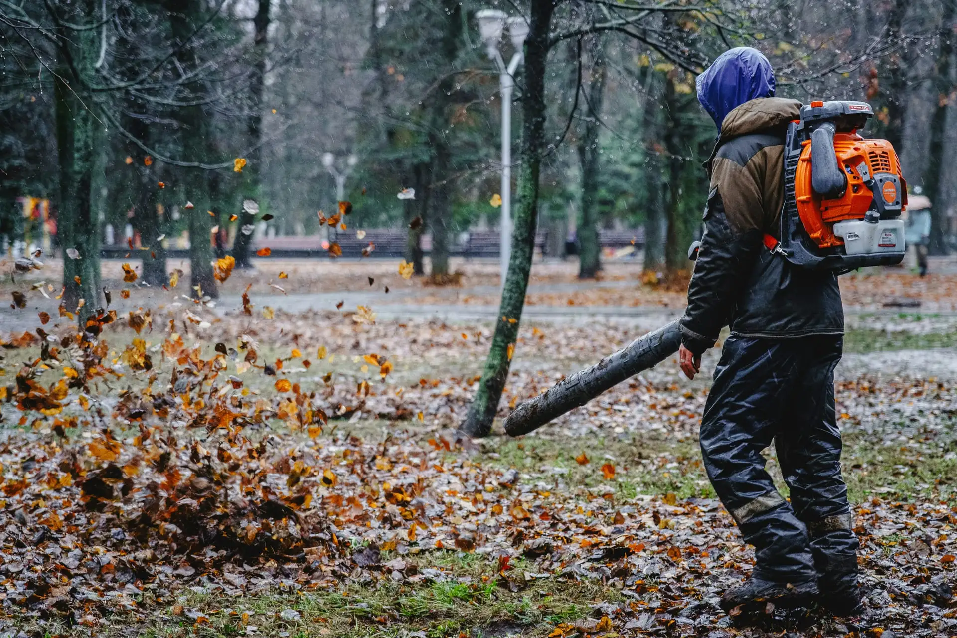 Leaf & Yard Cleanup