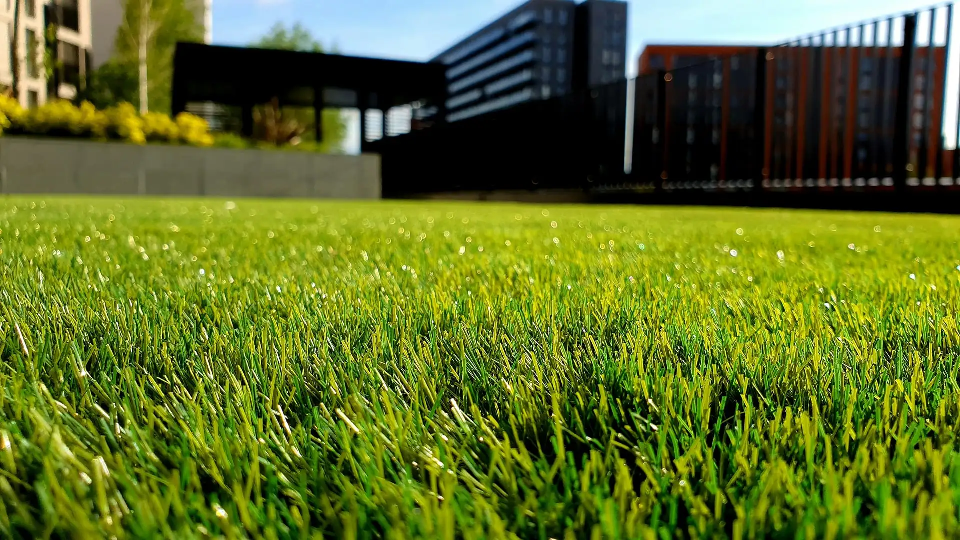Lawn care in Boerne, TX