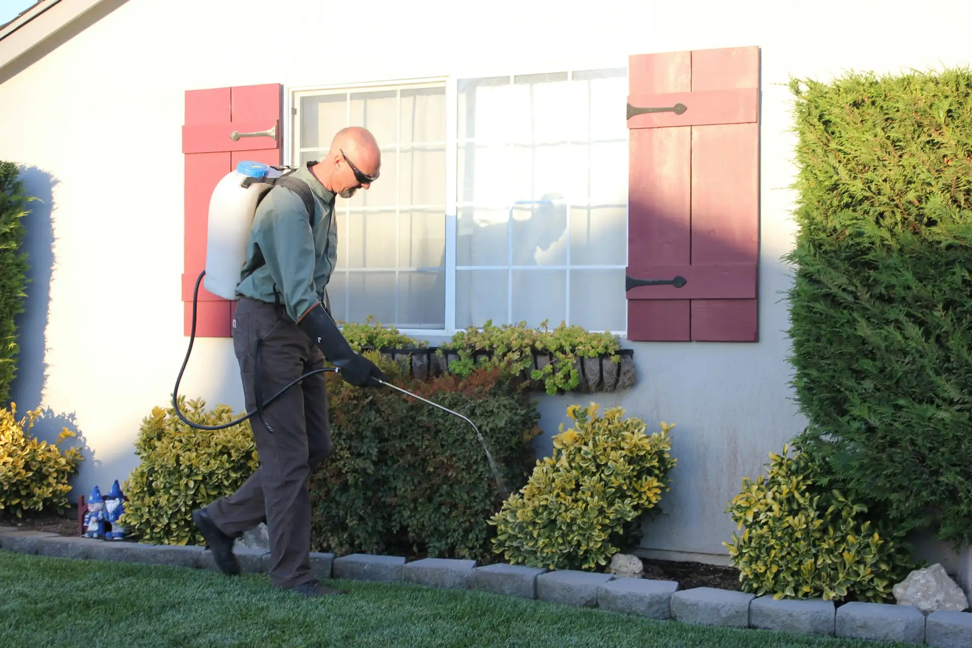 Weed Control & Treatment